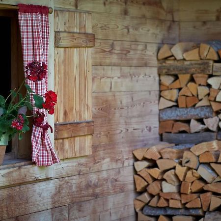 Saukaserstub'N Apartments - Ferienwohnung Schuetzkogel Jochberg Kültér fotó